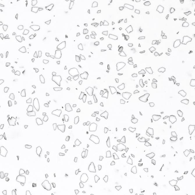Mosaic Dalmatian QD212